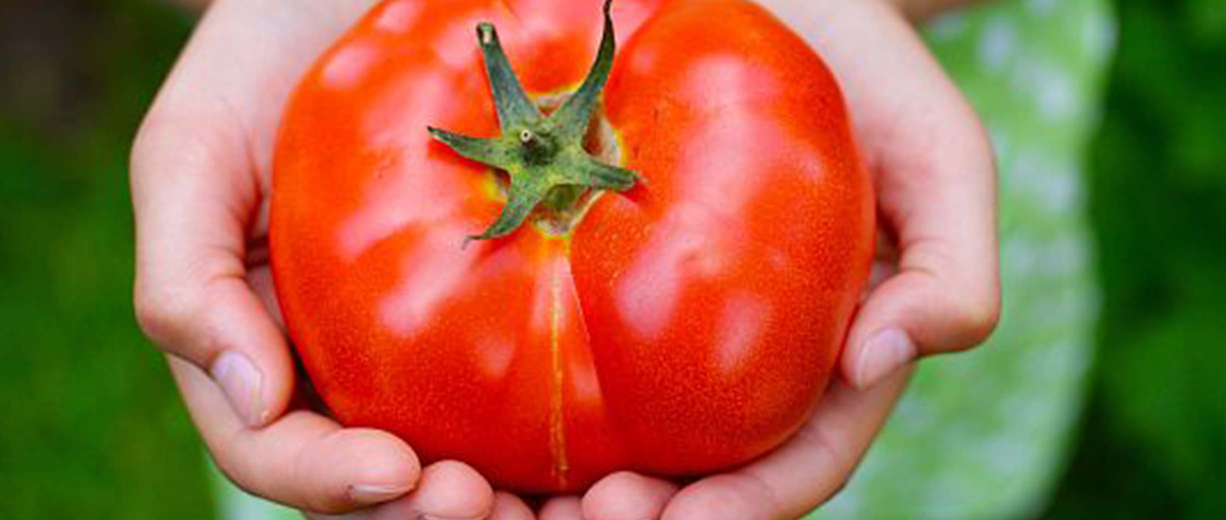 35 Ways to Get Your Kids to Eat Tomatoes