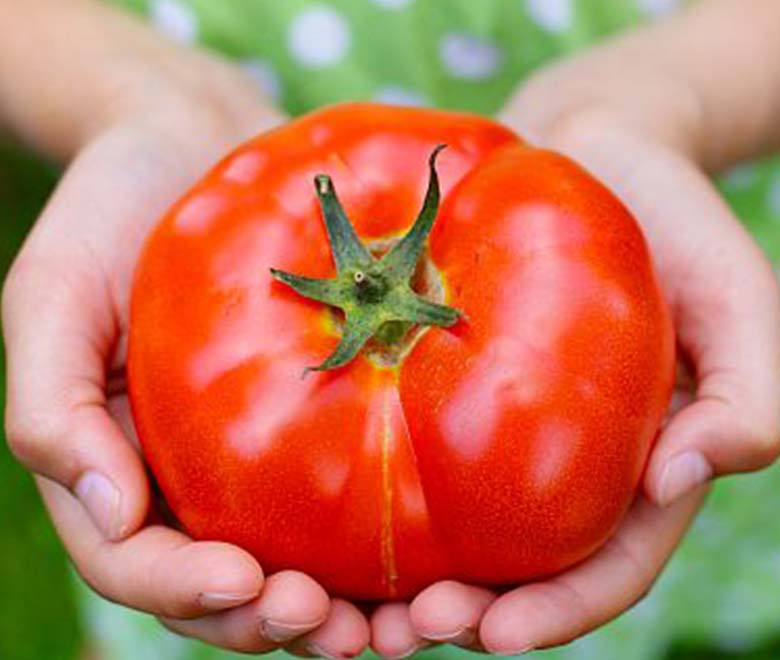 35 Ways to Get Your Kids to Eat Tomatoes