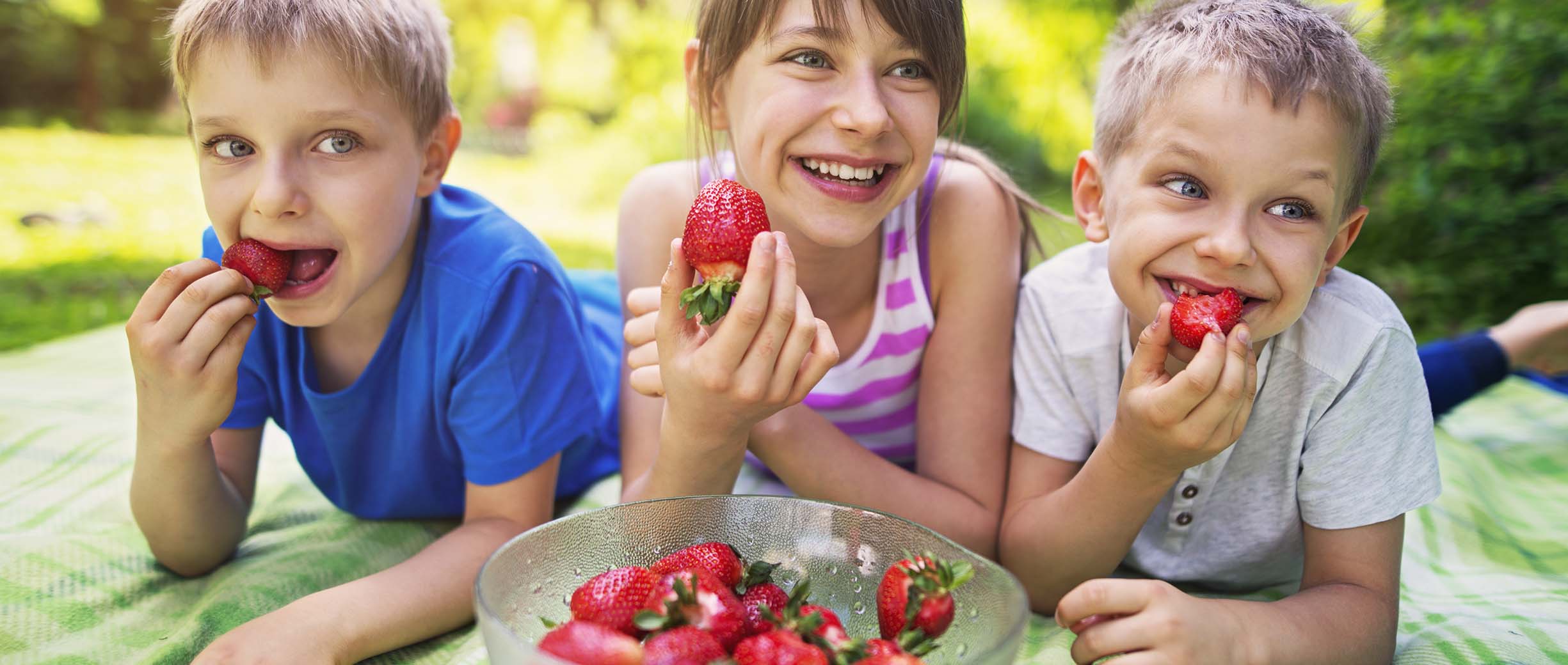 How to Plan a Perfect Picnic for Free