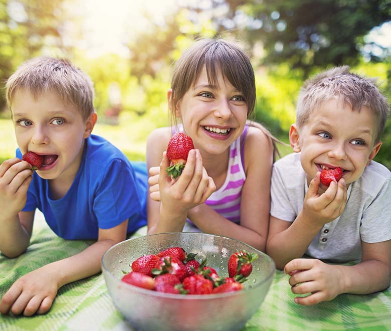 How to Plan a Perfect Picnic for Free